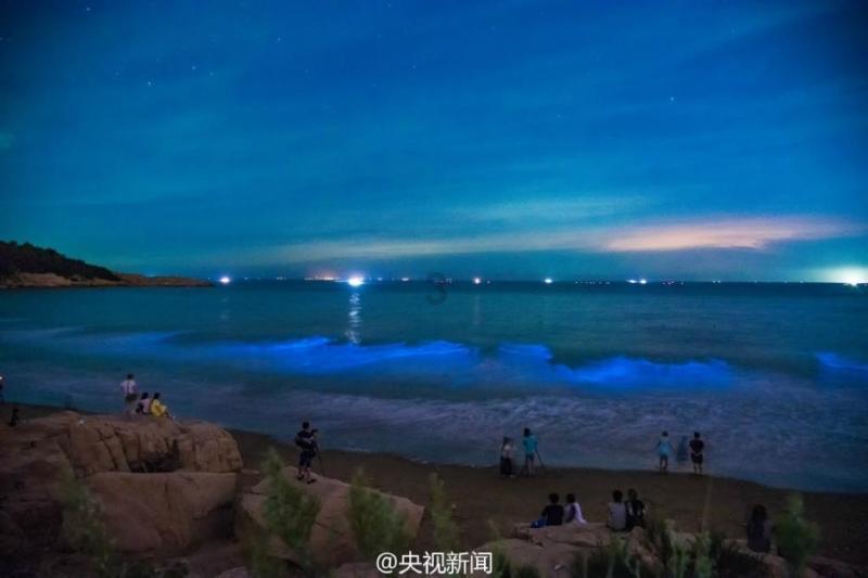 进化之地2
