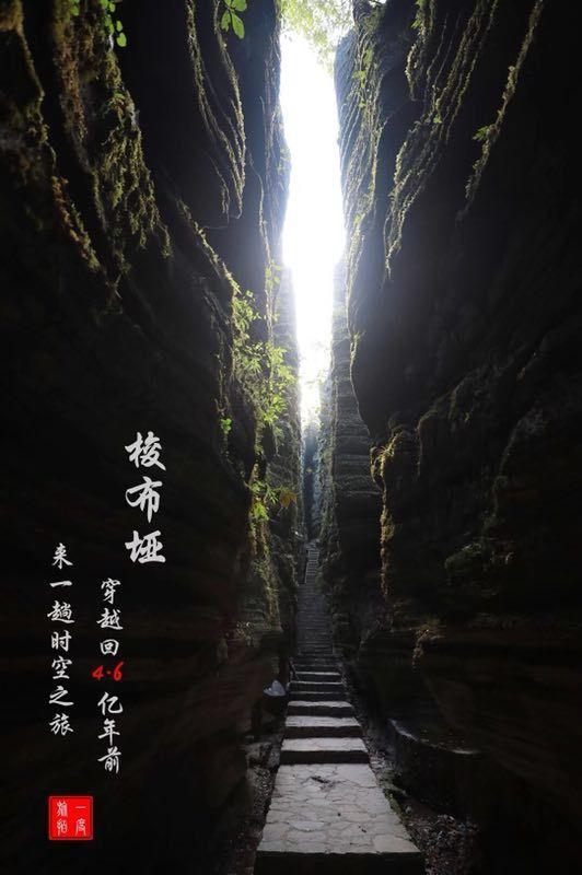 被控受贿8103万余元，中国足协原主席陈戌源，当庭认罪悔罪