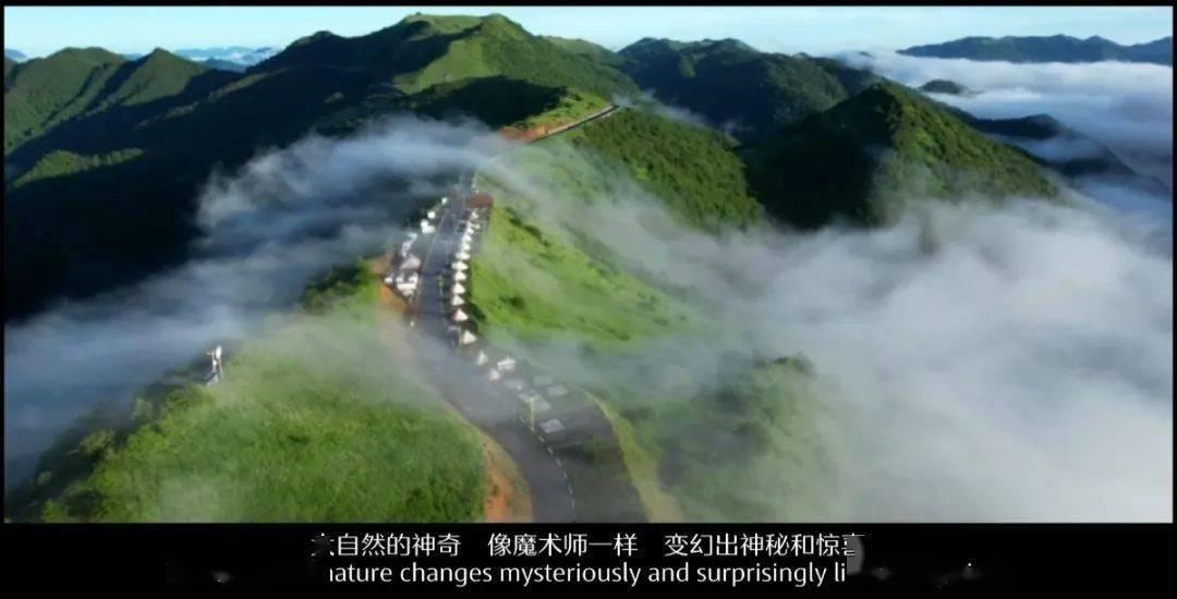 探索知识,尽在问答交流平台腾讯视频如何更改为只使用手机号登录