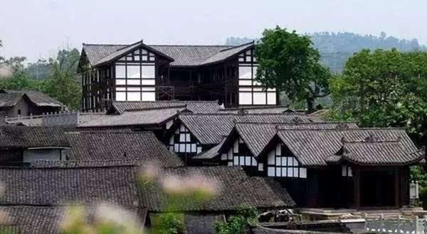 大鹰森林逃生