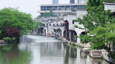 小狗救援行动选关版