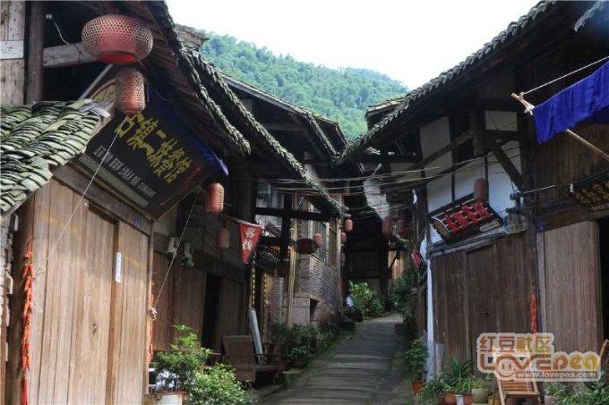 博主：辽宁沈阳城市股改取得极大进展，队名基本确定“东北虎”